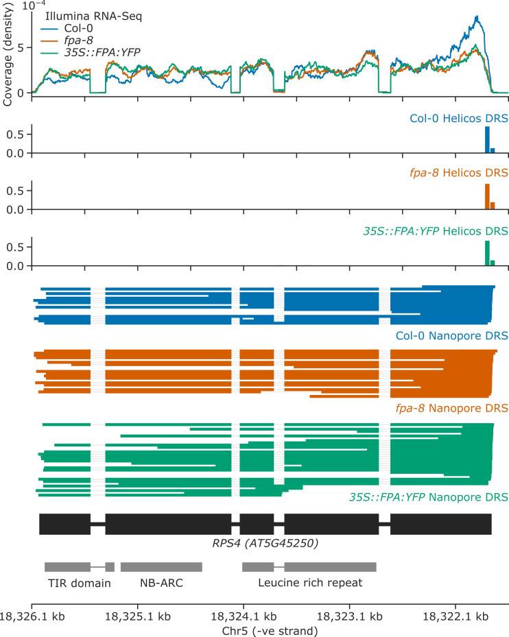 Figure 4—figure supplement 4.