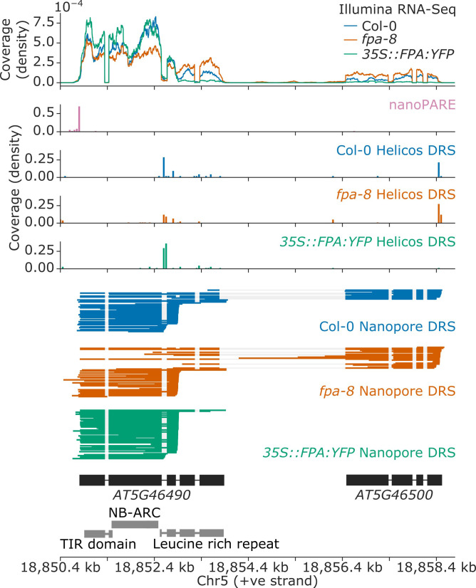 Figure 3—figure supplement 1.