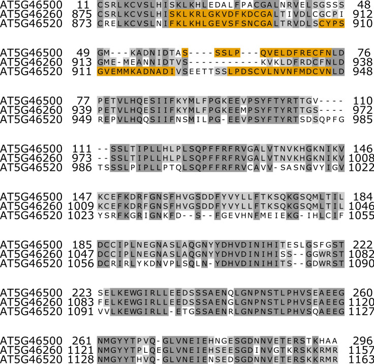 Figure 3—figure supplement 2.