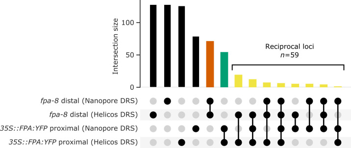 Figure 2—figure supplement 1.