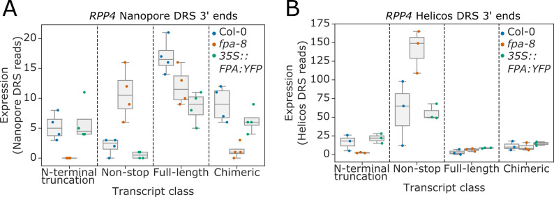 Figure 5—figure supplement 1.