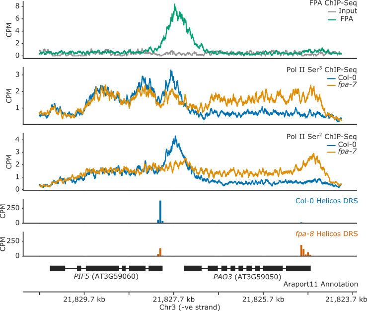 Figure 1—figure supplement 2.