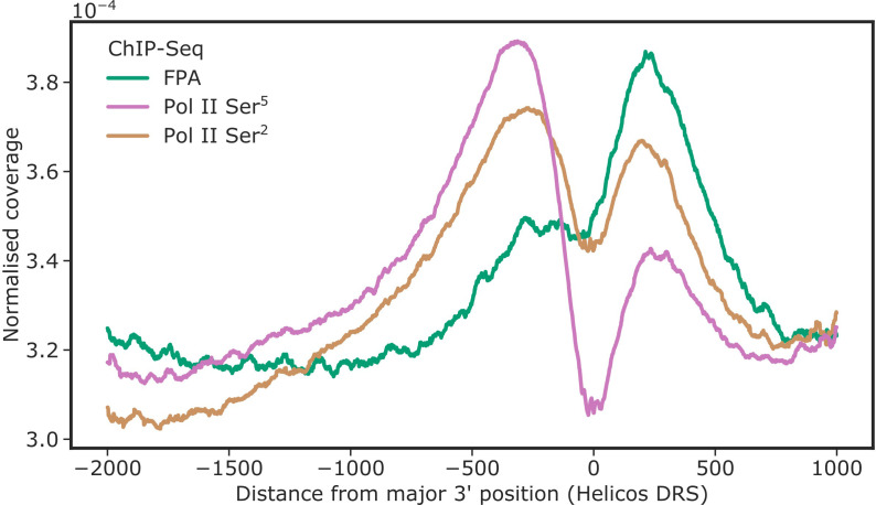 Figure 1—figure supplement 1.