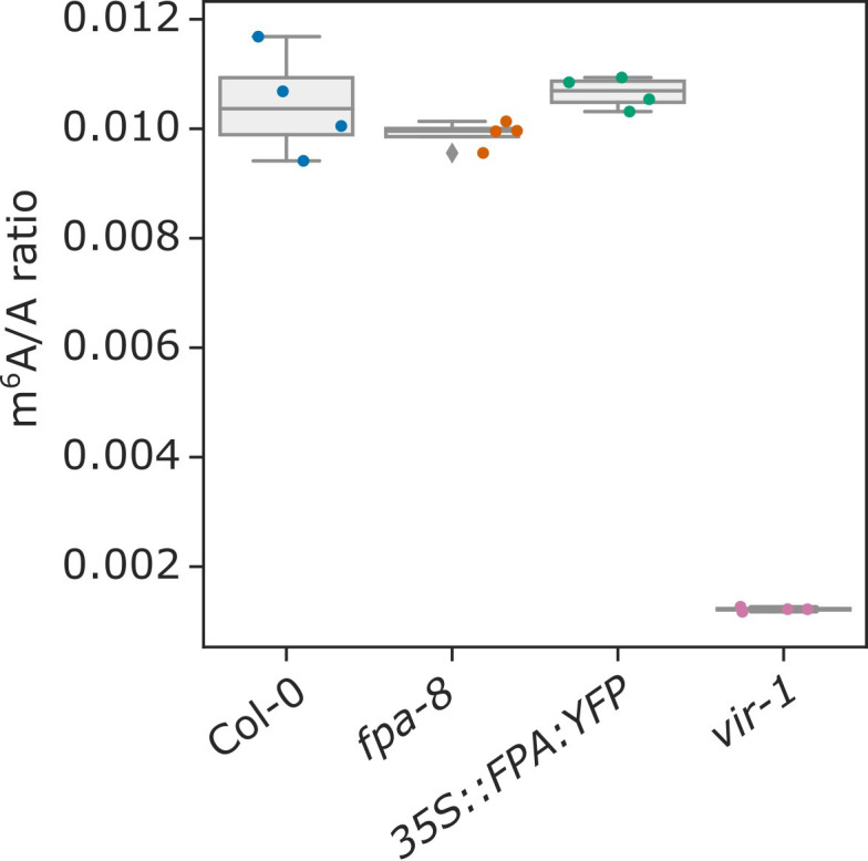 Figure 2—figure supplement 3.