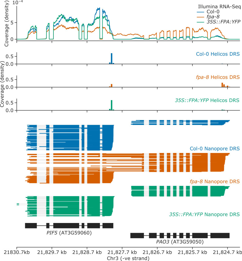 Figure 2—figure supplement 2.