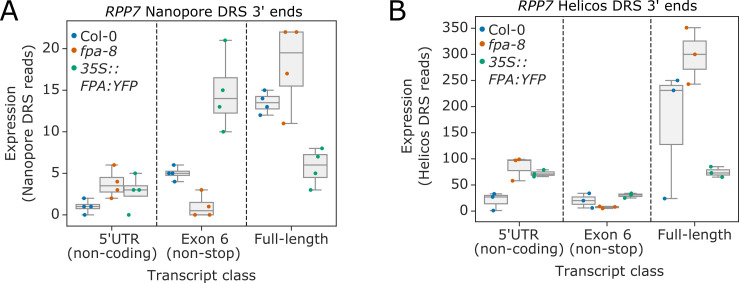 Figure 6—figure supplement 1.