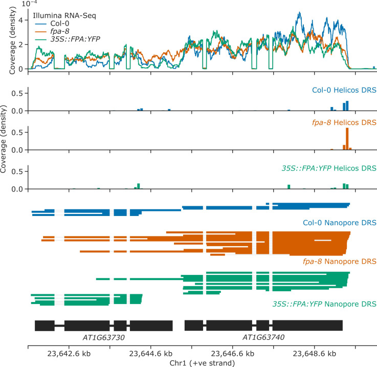 Figure 4—figure supplement 2.