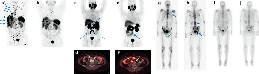 Fig. 2 |