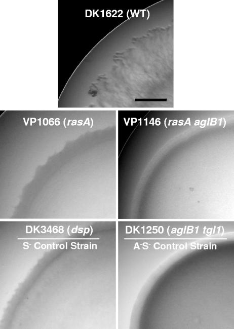 FIG. 3.