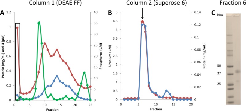 FIG 2