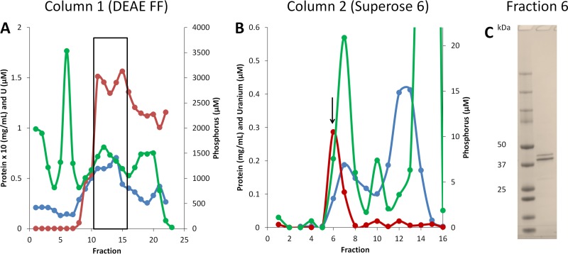 FIG 3