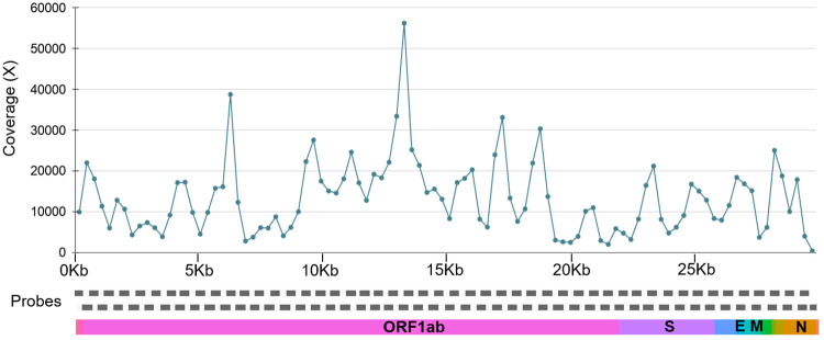 Fig 3