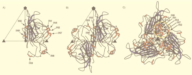 FIG. 5