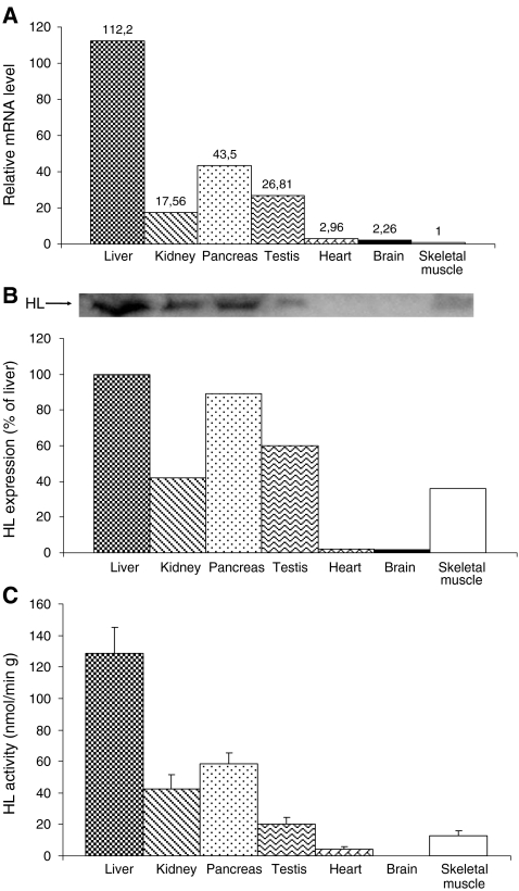 Fig 1