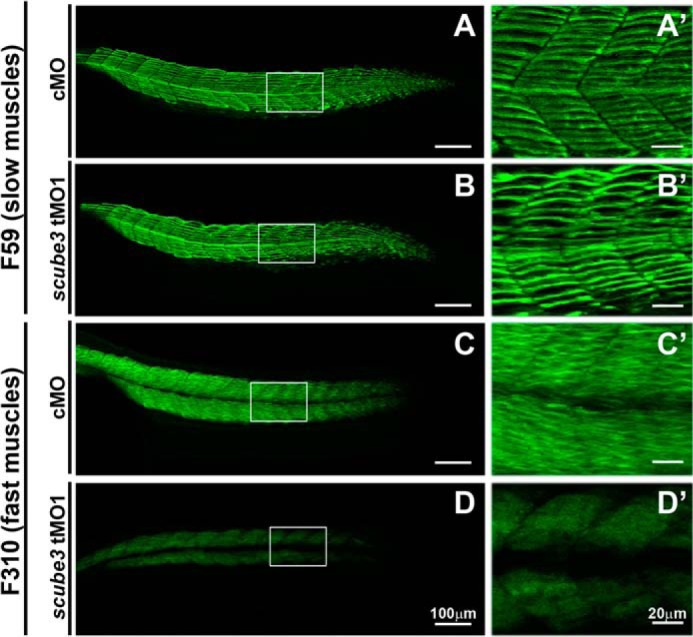 FIGURE 10.