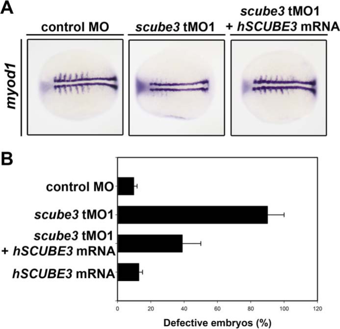 FIGURE 11.