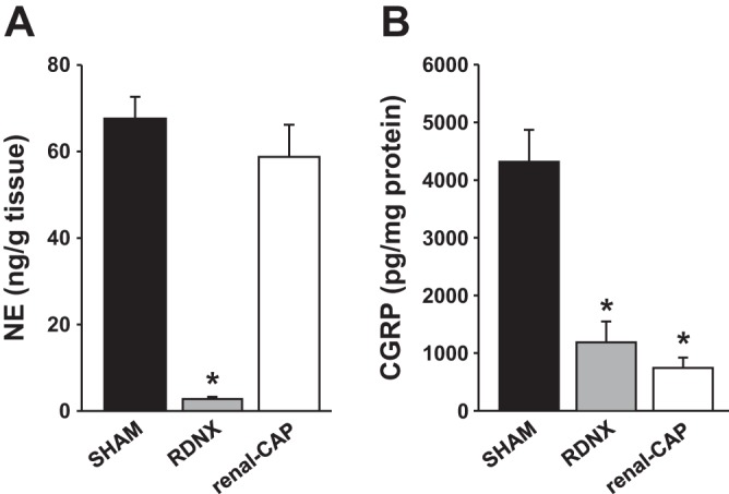 Fig. 9.