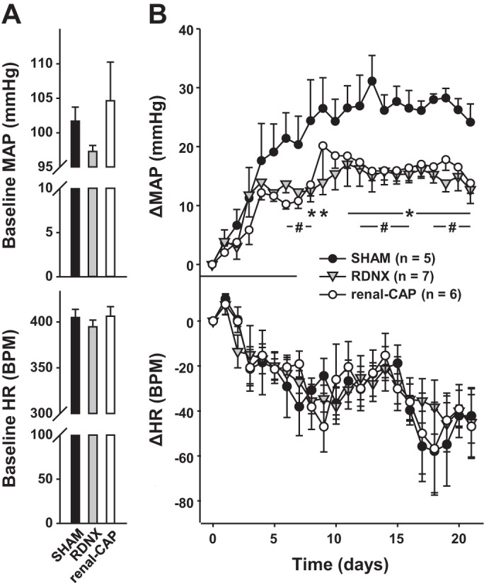 Fig. 8.