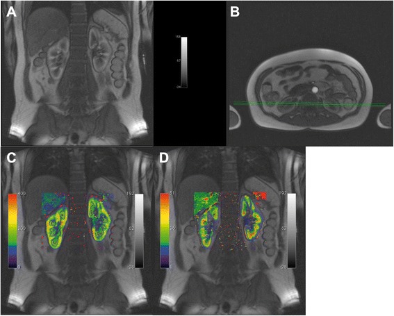 Fig. 9