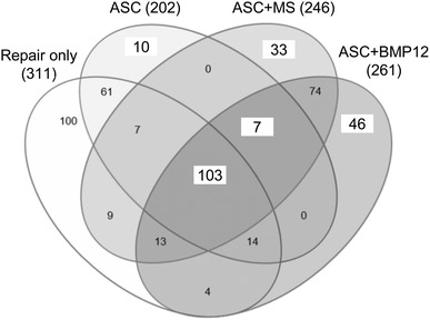 Fig. 4