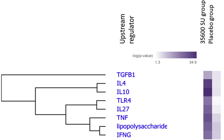 Fig. 7