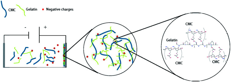 graphic file with name d1ra09231f-ga.jpg