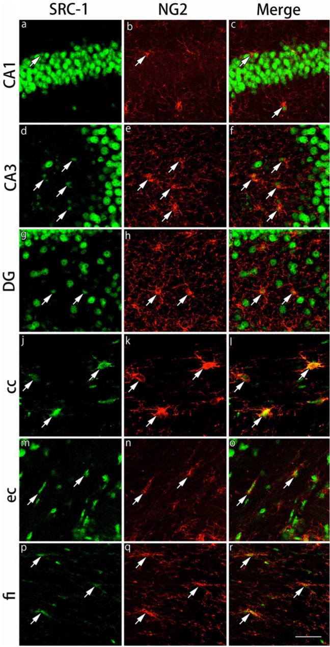 Figure 12.