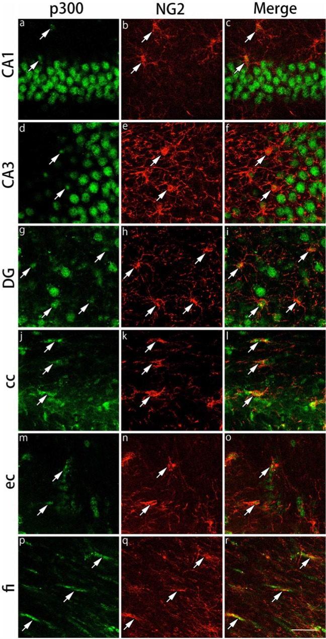 Figure 13.