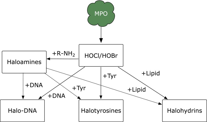 Fig. 3