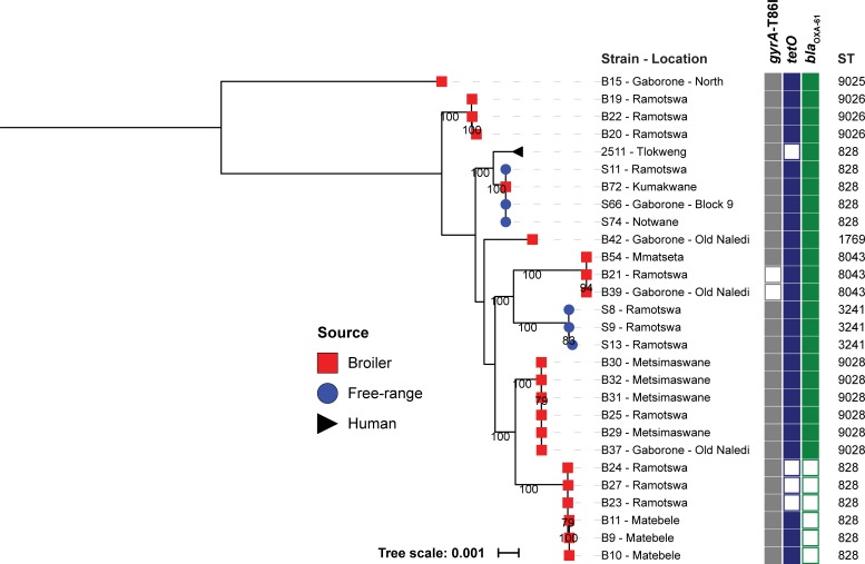 Fig 2