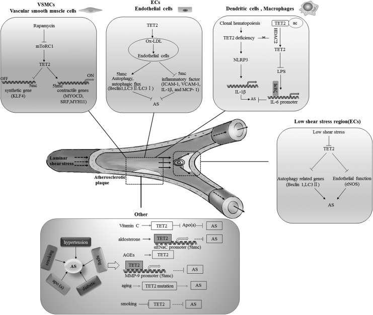 FIG. 1.