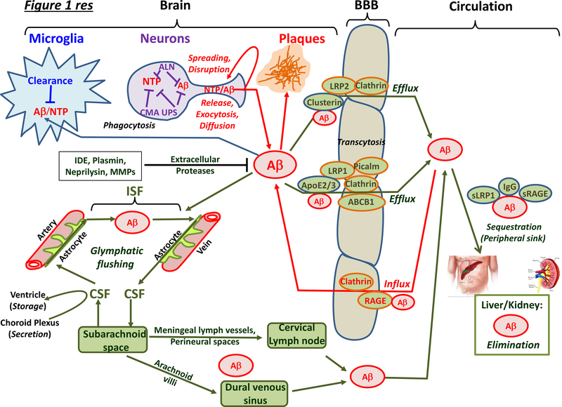 Figure 1 |