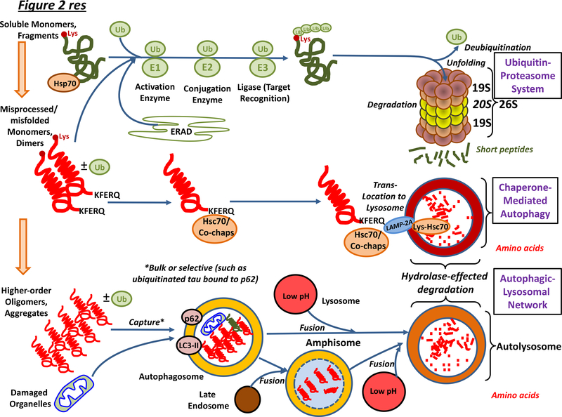 Figure 2 |