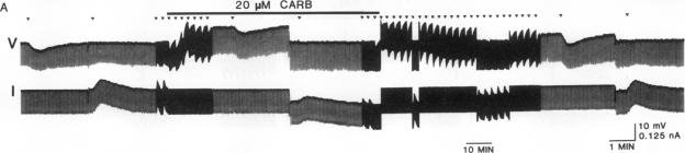 graphic file with name pnas00275-0398-a.jpg