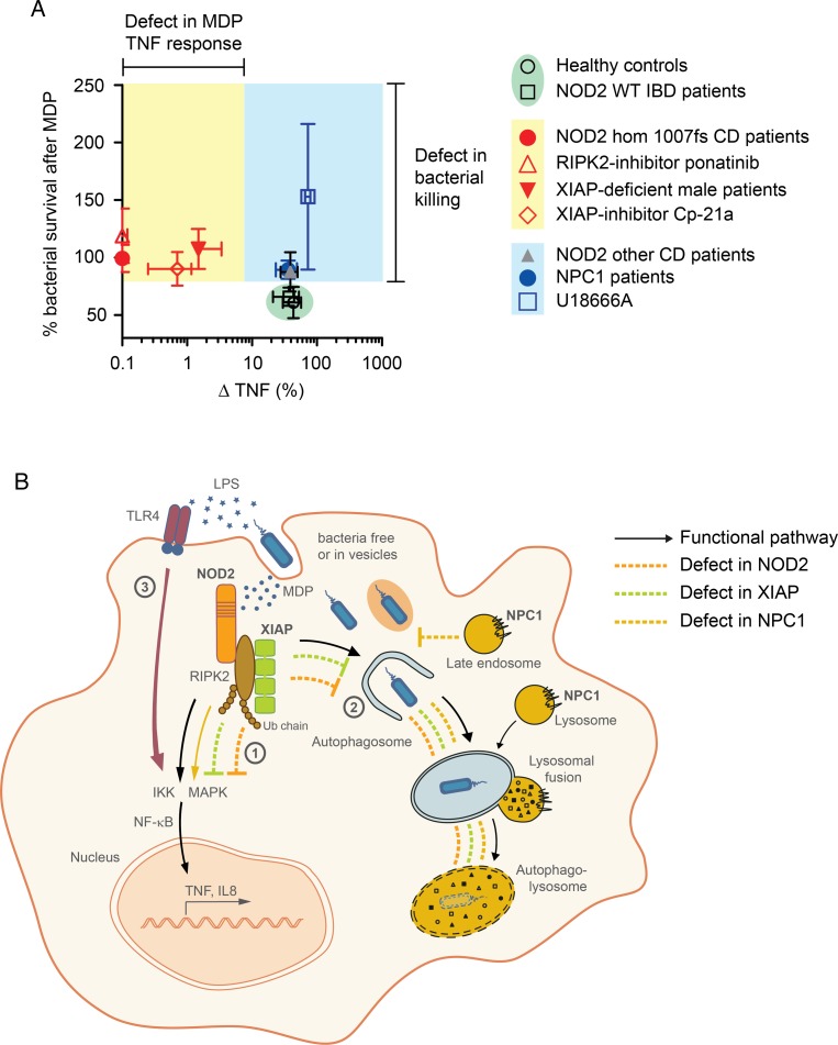 Figure 7