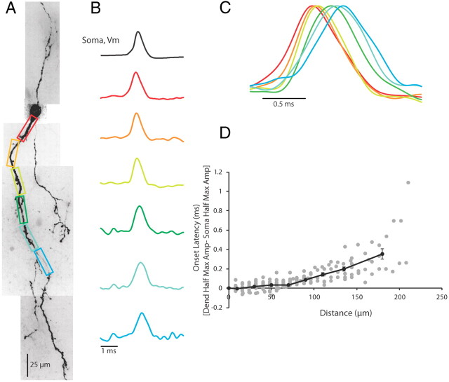 Figure 4.