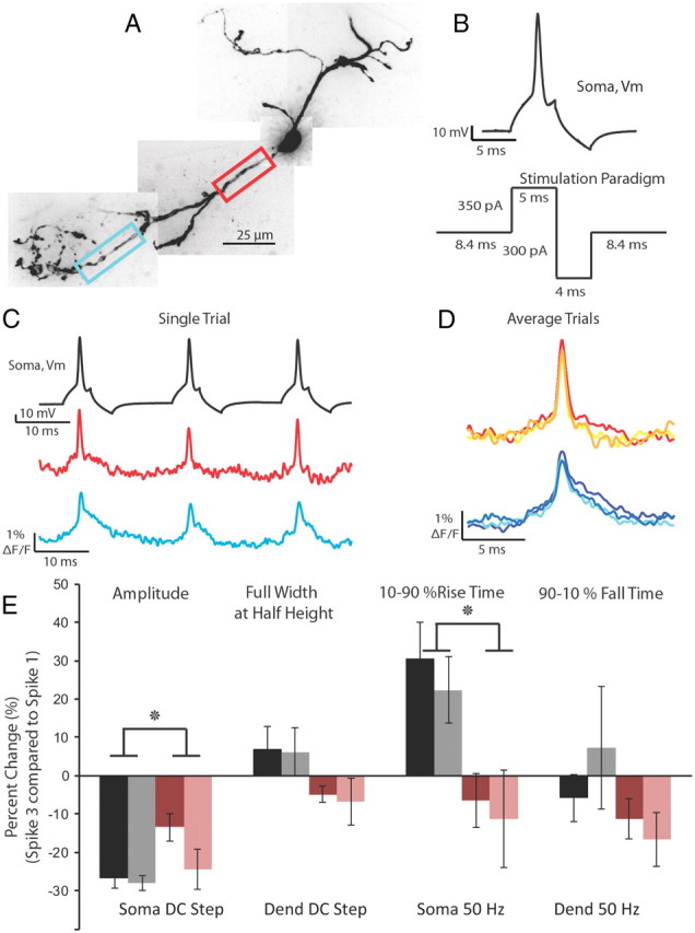 Figure 6.