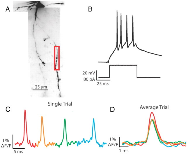 Figure 5.