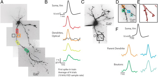 Figure 2.