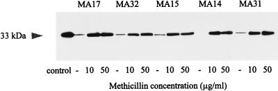 FIG. 7