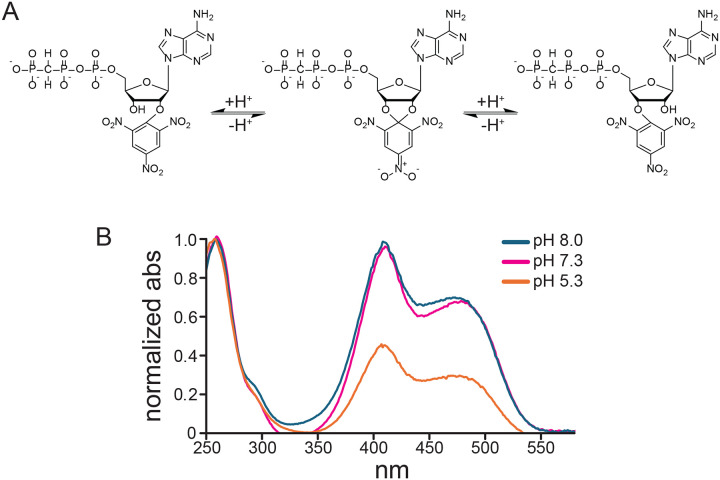 Figure 3.