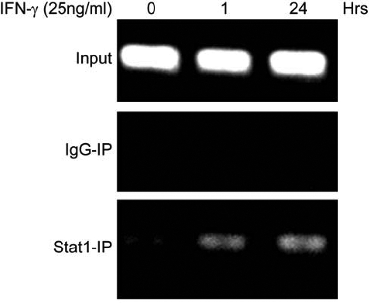 FIGURE 6.