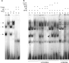 Fig. 3