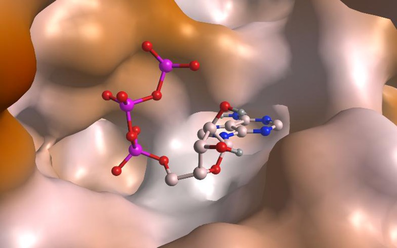 graphic file with name 11302_2014_9430_Figam_HTML.jpg