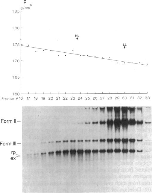 graphic file with name pnas01084-0465-a.jpg