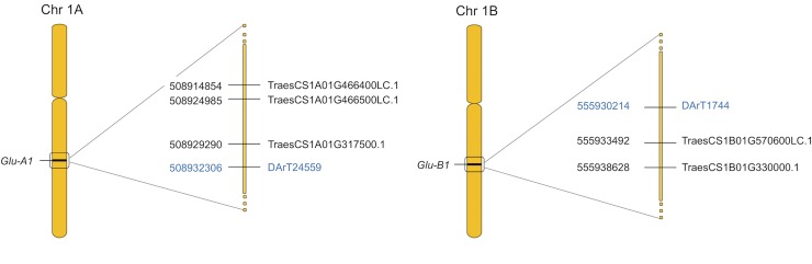 Fig 5