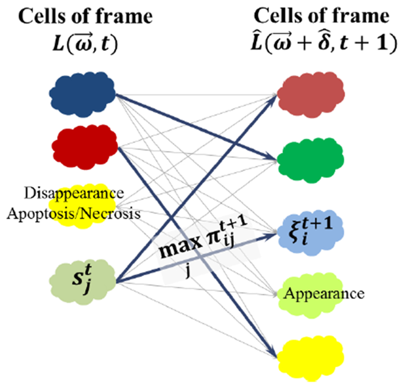 Fig. 7.