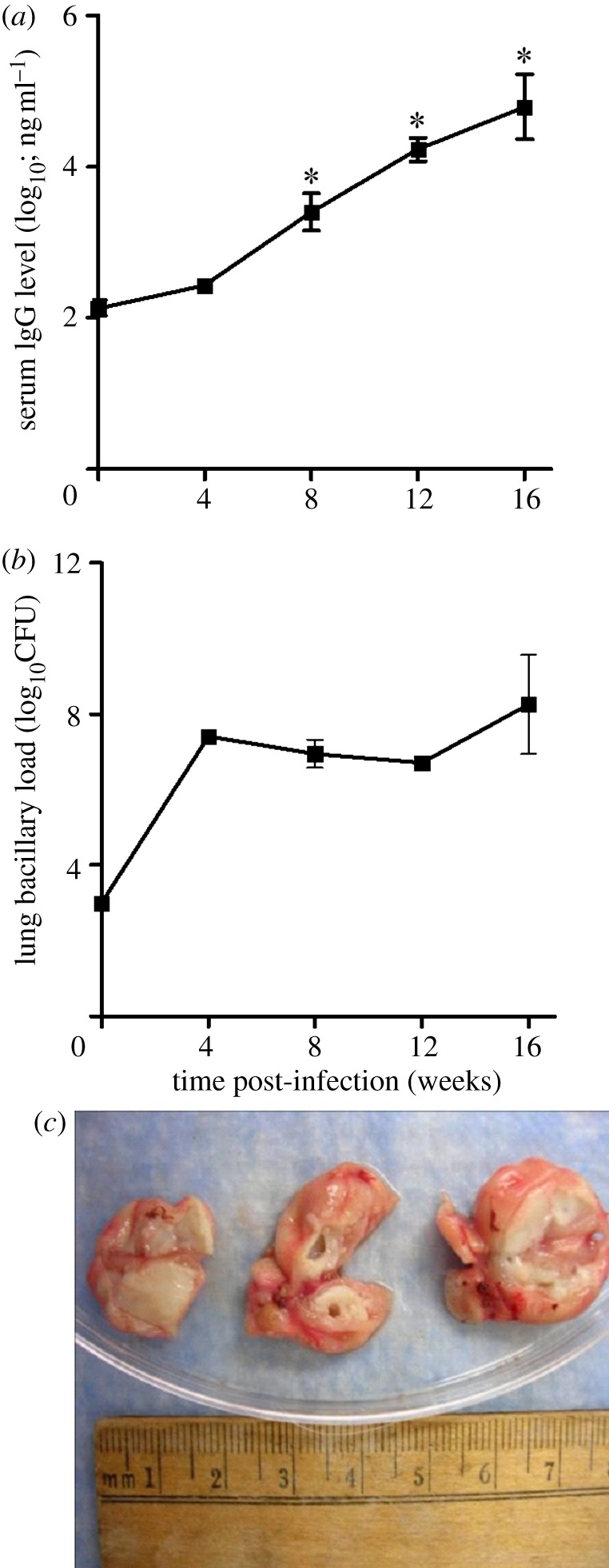 Figure 6.