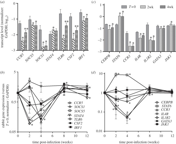 Figure 4.