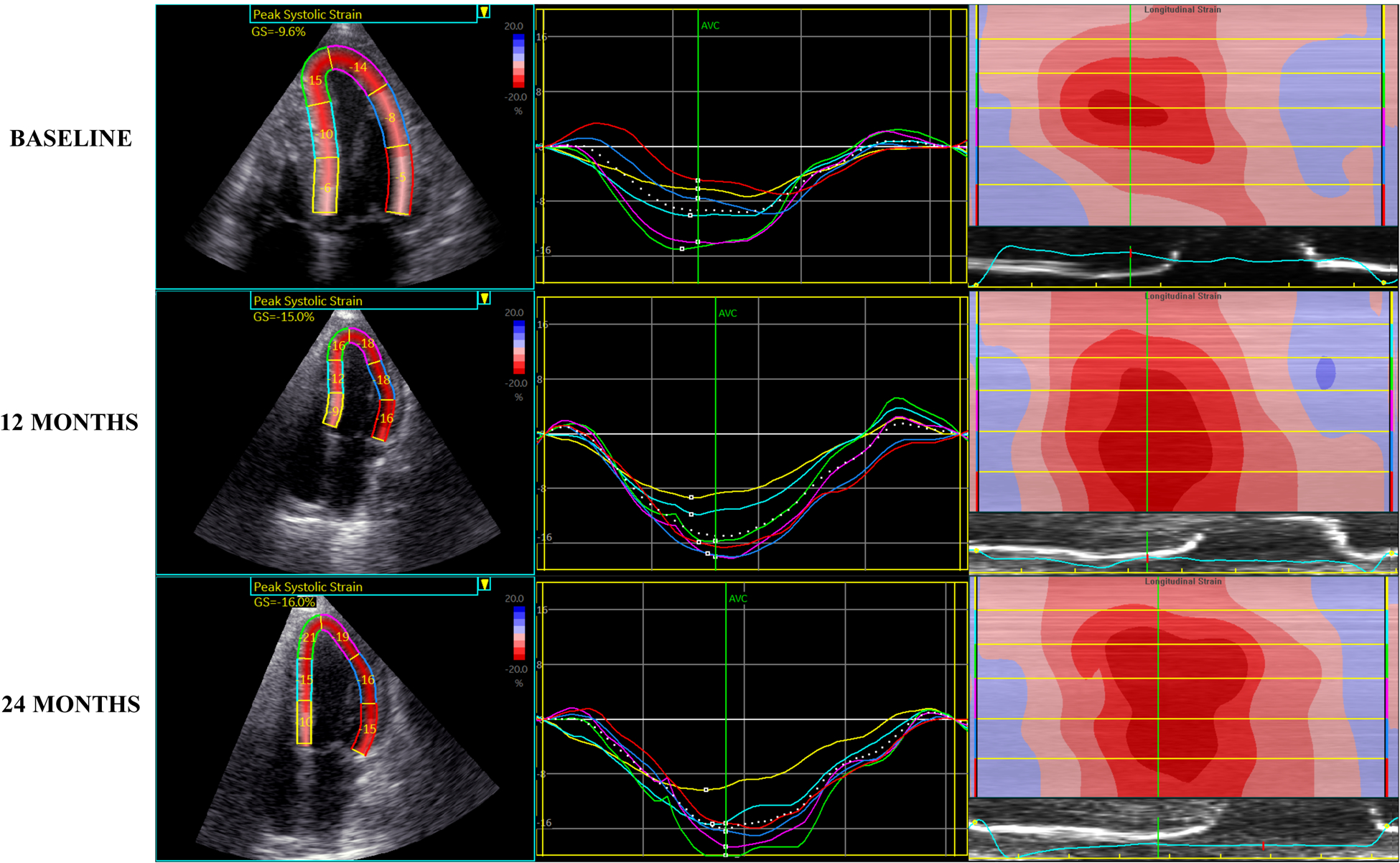 Figure 1 –